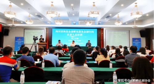 四川省第十九期科技企業(yè)孵化器及眾創(chuàng)空間從業(yè)人員培訓聚焦影視專業(yè)技術